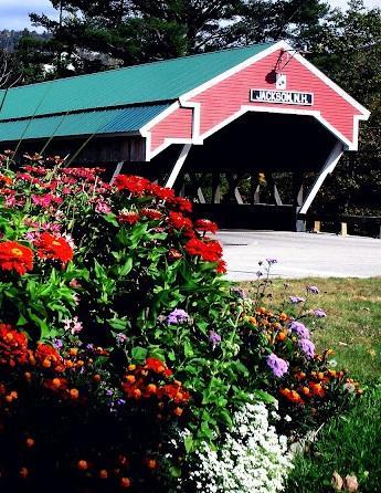 Covered Bridge River View Lodge (Adults Only) Jackson Exterior photo